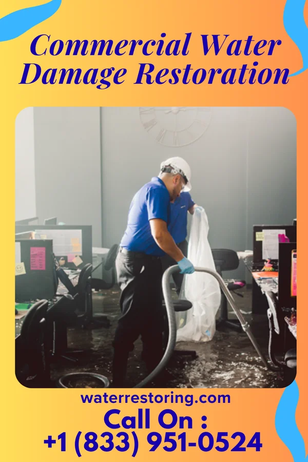 Commercial Water Damage Restoration in Rhine, GA