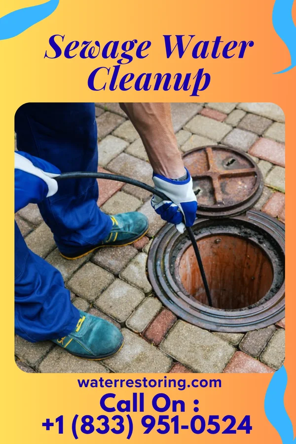 Sewage Water Cleanup in Rhine, GA